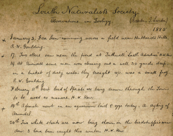 Original document dated 1885