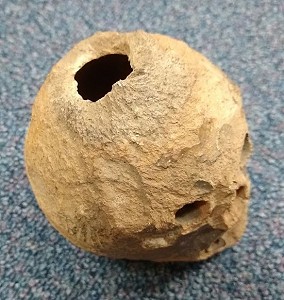 Top of head