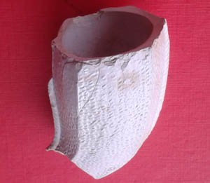 Bowl of 19th Century pipe