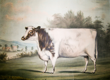Flower in 1844