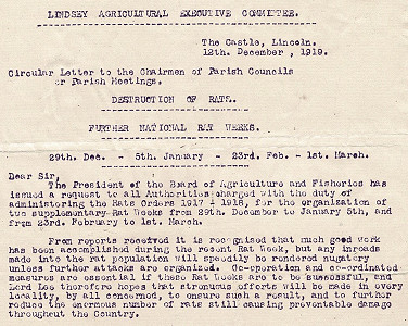 1919 letter