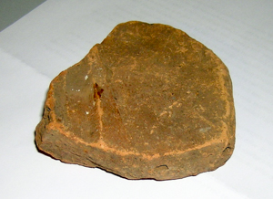 Part of tegula
