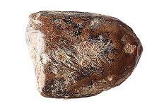 Silver ingot