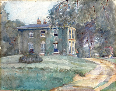 The Hill